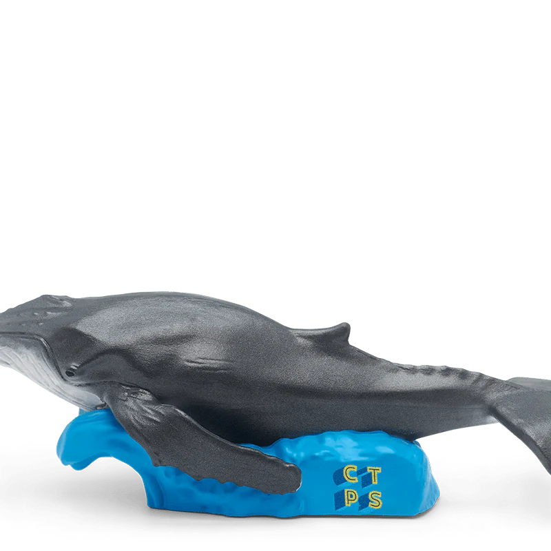 National Geographic Kids: Whale Tonie - Image 9